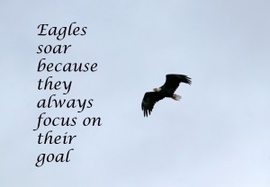 Focus On Your Goal